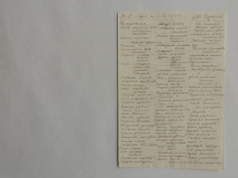 Anteprima dell'oggetto