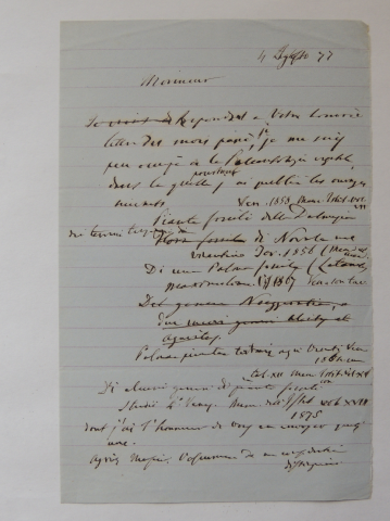 Anteprima dell'oggetto