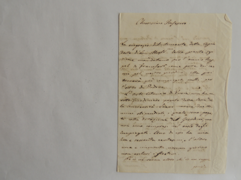 Anteprima dell'oggetto