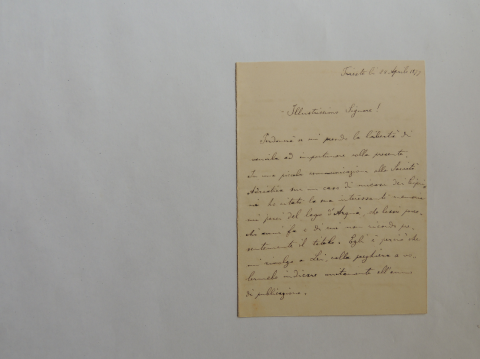 Anteprima dell'oggetto