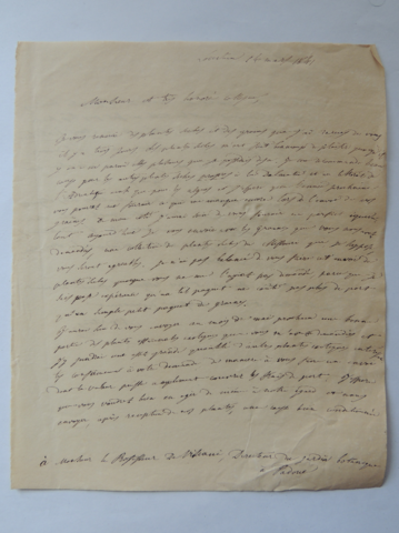 Anteprima dell'oggetto