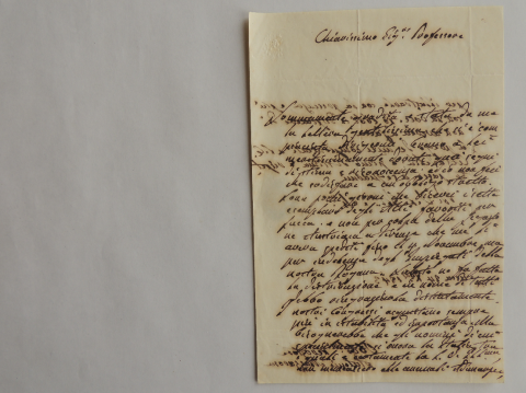 Anteprima dell'oggetto