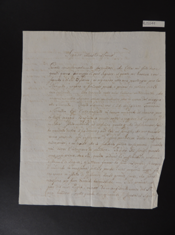 Anteprima dell'oggetto