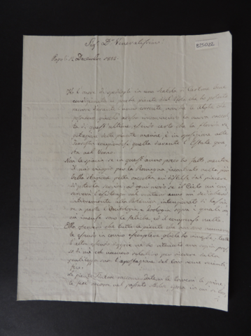 Anteprima dell'oggetto