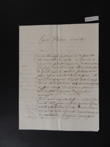 Anteprima dell'oggetto