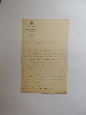 Anteprima dell'oggetto