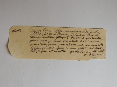 Anteprima dell'oggetto