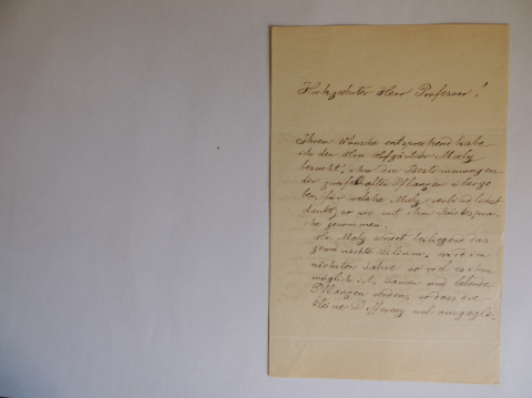 Anteprima dell'oggetto