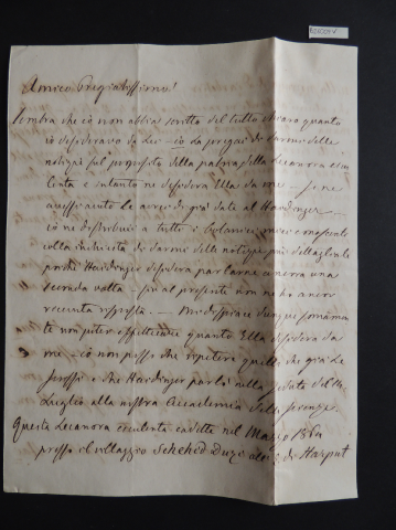 Anteprima dell'oggetto