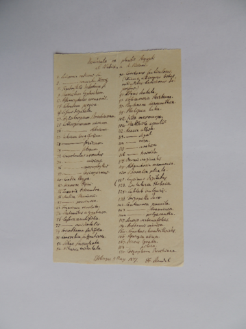 Anteprima dell'oggetto