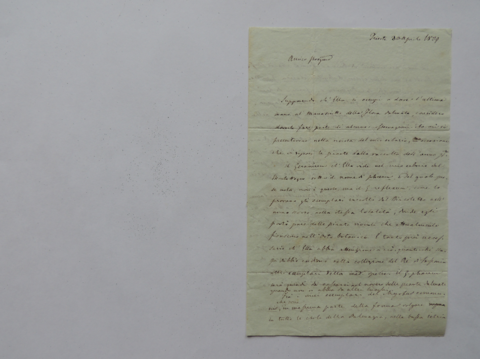 Anteprima dell'oggetto