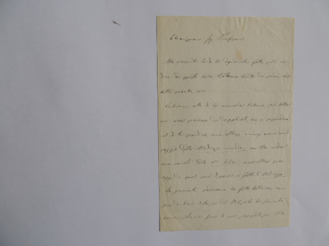 Anteprima dell'oggetto