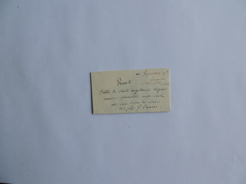 Anteprima dell'oggetto