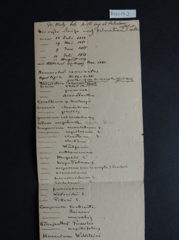 Anteprima dell'oggetto