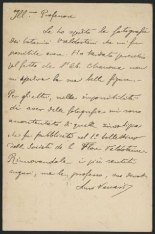 Anteprima dell'oggetto