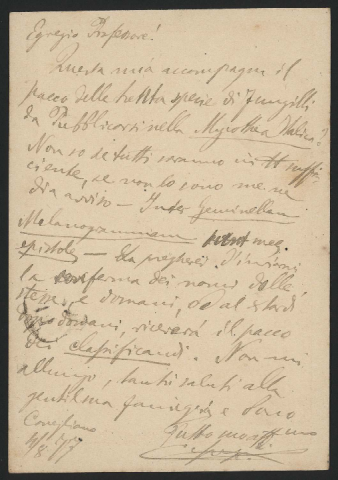 Anteprima dell'oggetto