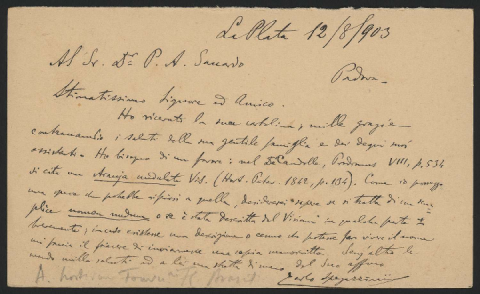 Anteprima dell'oggetto