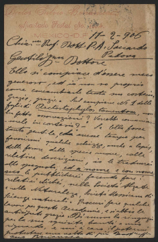 Anteprima dell'oggetto