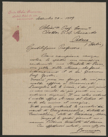 Anteprima dell'oggetto