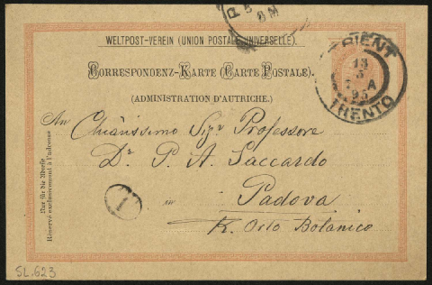 Anteprima dell'oggetto