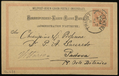 Anteprima dell'oggetto