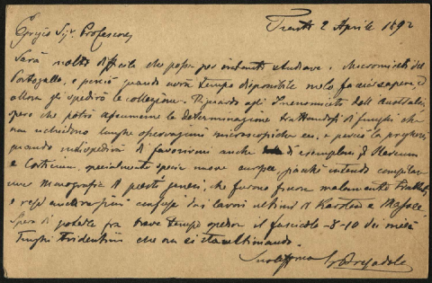 Anteprima dell'oggetto