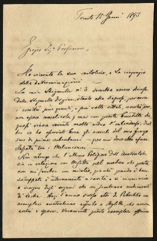 Anteprima dell'oggetto