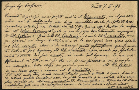 Anteprima dell'oggetto