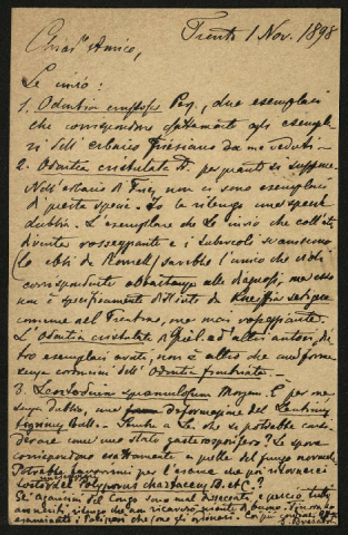 Anteprima dell'oggetto