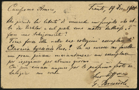 Anteprima dell'oggetto