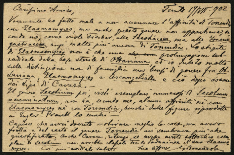 Anteprima dell'oggetto