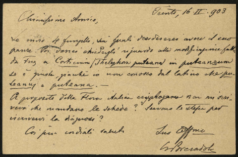 Anteprima dell'oggetto