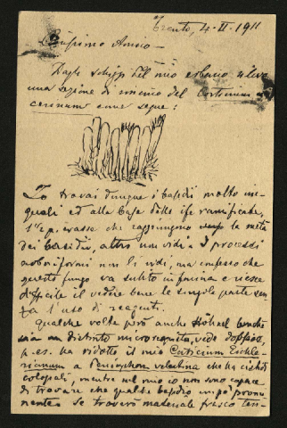 Anteprima dell'oggetto