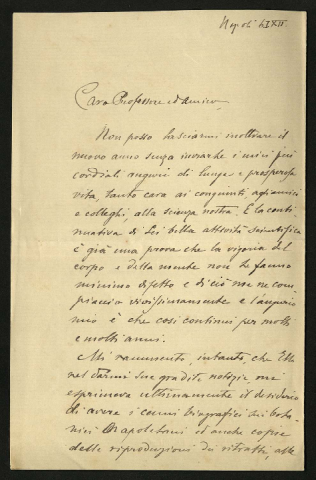 Anteprima dell'oggetto