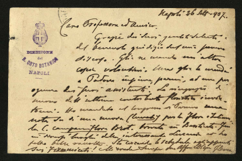 Anteprima dell'oggetto