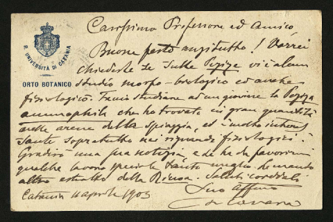 Anteprima dell'oggetto