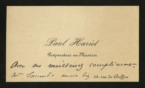 Anteprima dell'oggetto