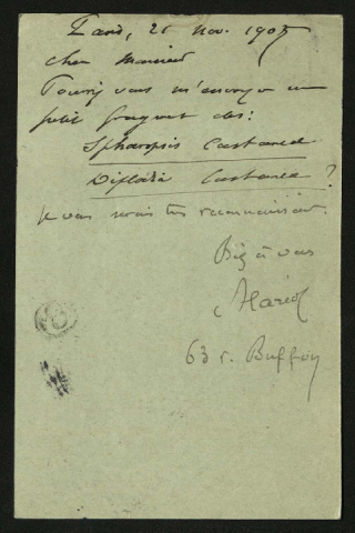 Anteprima dell'oggetto