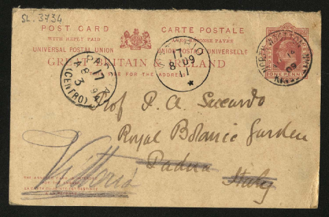 Anteprima dell'oggetto