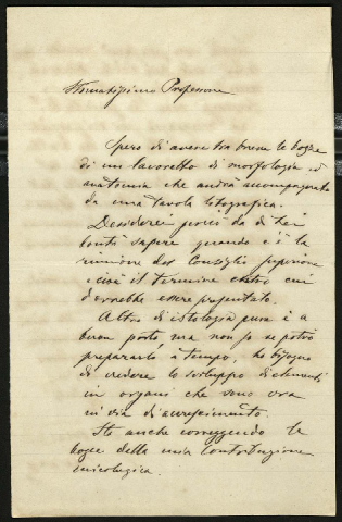 Anteprima dell'oggetto