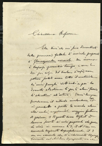 Anteprima dell'oggetto