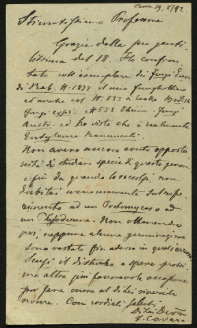 Anteprima dell'oggetto