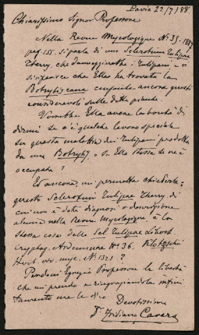 Anteprima dell'oggetto