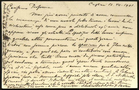 Anteprima dell'oggetto