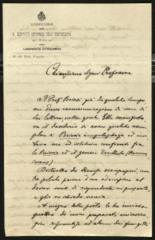 Anteprima dell'oggetto