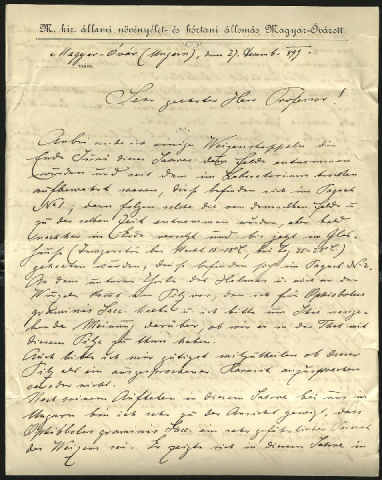 Anteprima dell'oggetto