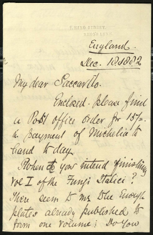 Anteprima dell'oggetto