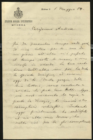 Anteprima dell'oggetto