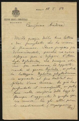 Anteprima dell'oggetto