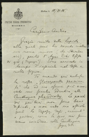 Anteprima dell'oggetto